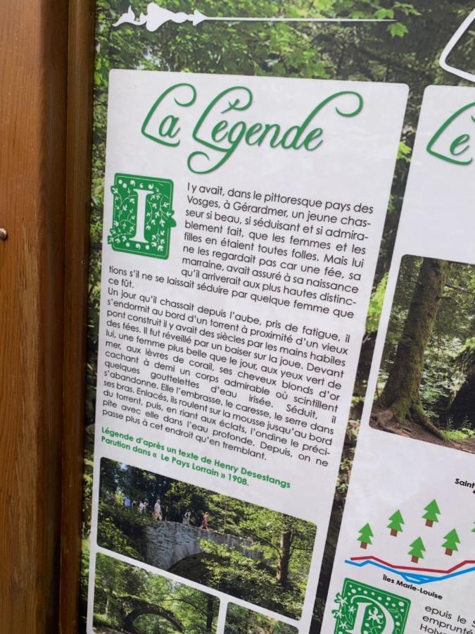 Charmant Appartement A Gérardmer Dış mekan fotoğraf